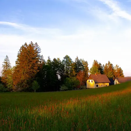Homestay Well Ranch *